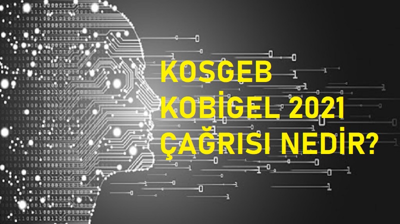 Kosgeb Kobigel 2021 Cagrisi Nedir Inovaksiyon